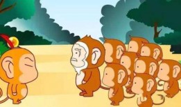 动物吃瓜人吃瓜的故事,动物与人类共食瓜果的趣味故事