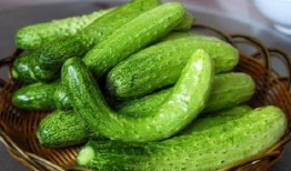 瓜姐天天吃瓜,揭秘娱乐圈那些不为人知的幕后故事