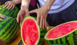 武校吃瓜,揭秘校园里的“吃瓜”故事