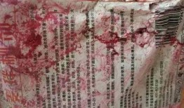 瓜二姐和瓜爸吃汤圆,温馨团圆，甜蜜满溢