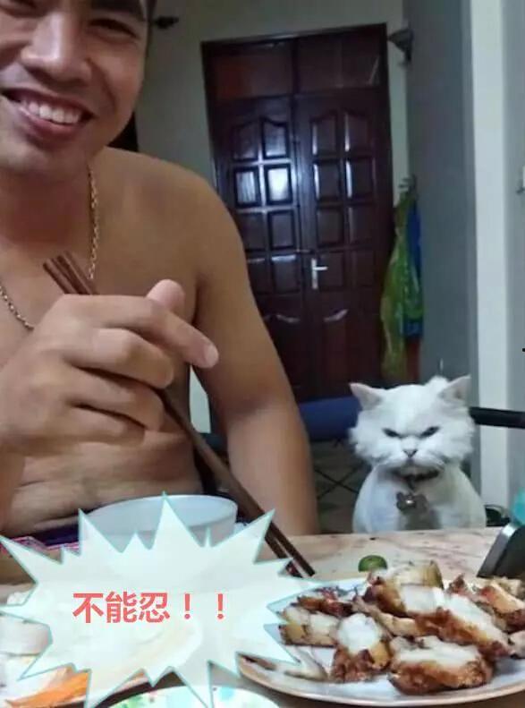 赛文主人吃瓜视频,揭秘娱乐圈幕后真相