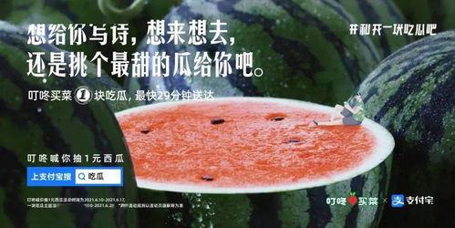 夏至 吃瓜 文案,夏日消暑美食之旅